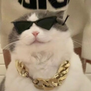 枪塞嘴里知道错了