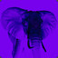 small purple elephants