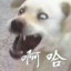 新人