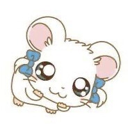 求地球毁灭教程