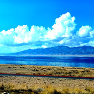 D004沙区大学司机