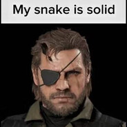 V Snake