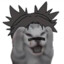 spooksura