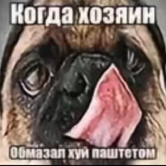 гав нахуй
