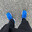 mICKeyy bLLuE ShoES