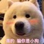 wdnmd