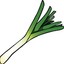 leek