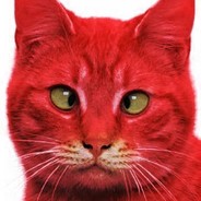 Uber Red Cat