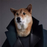 花瓣舞者信小奇