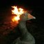 Hot duck