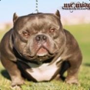 陈清泉副院长学外语