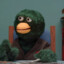 duck