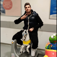 Animje