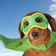 Moderat - steam id 76561199853410744