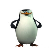 Skipper