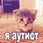 Mokich