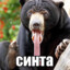 промокашка