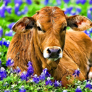 Uttermostcow7