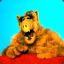 Alf