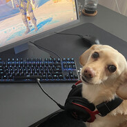 b0b - steam id 76561198020995192