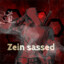 Zein Sassed
