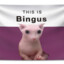 BingusBongusbandit.gg