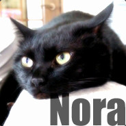 野良/Nora