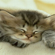 жигулёвский