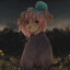 Valll~