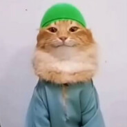 All-halull Hallyabibi