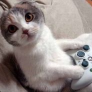 Kilnan - steam id 76561197960526321