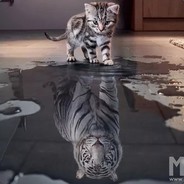 狂战剑圣不如散失水人艺术