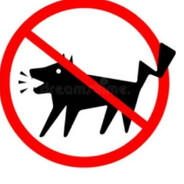 禁止狗叫