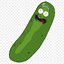 Pickled Foreskin