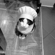 meow