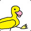 Pato