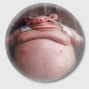 shihomo - steam id 76561199211889860