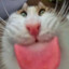 peow-meow