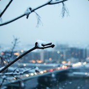 GOBBY - steam id 76561198073914061