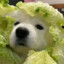 vegetable dog