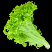 salad.png