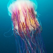 带你去看那繁华