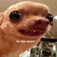 leléco