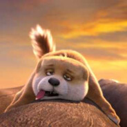 玉米加农炮进化版