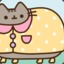Pusheen the Cat