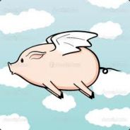 PigsCanFly