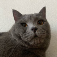 Лёня