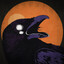 Raven_attack