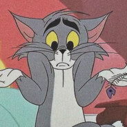 氵盖 世 太 保灬