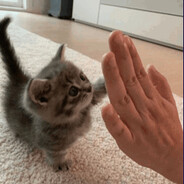 Akiriee